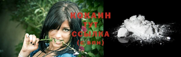 гашик Заволжье