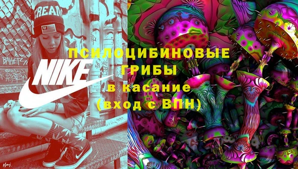 гашик Заволжье