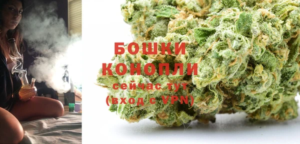гашик Заволжье