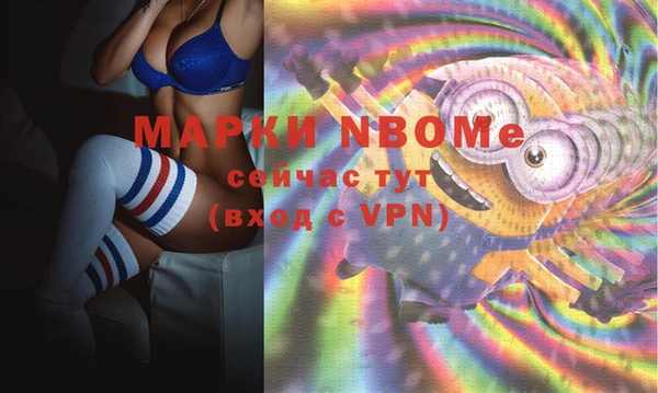 гашик Заволжье