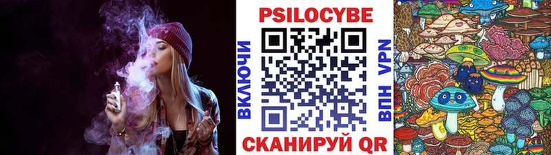 что такое   Ирбит  Галлюциногенные грибы Psilocybe 